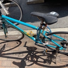 ⭐️ルイガノ⭐️自転車の画像