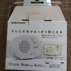 耳もとスピーカーの画像