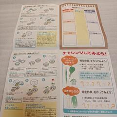 実験キット　植物観察キットの画像