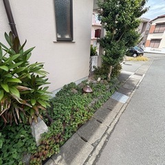 草刈り