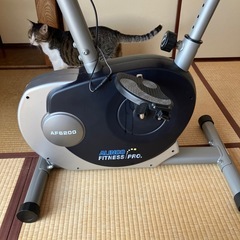 ALINCO エアロマグネティックバイクAF6200の画像