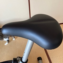 ALINCO エアロマグネティックバイクAF6200の画像