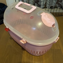 猫、犬の画像