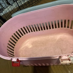 猫、犬の画像