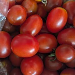 朝採れ野菜第6弾、甘い中玉スイカ丸ごと1個４kg，小玉スイカ2個、甘いミニトマト1kg1200円ですの画像