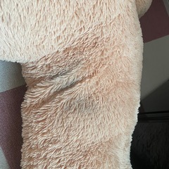 コストコ クマの画像