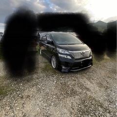 20ヴェルファイア　前期