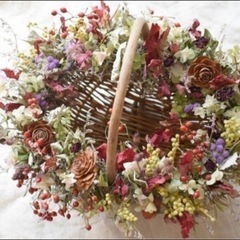 シダーローズ　バラの花みたいな木の実の画像