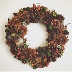 シダーローズ　バラの花みたいな木の実の画像