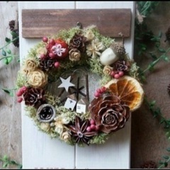 シダーローズ　バラの花みたいな木の実の画像