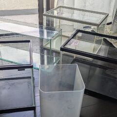 水槽を格安でお譲りします、多少の値引きも可能です！の画像