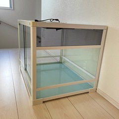 三晃商会　パンテオン6045 ホワイトの画像