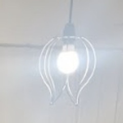 【本日夜浅草でお会いできる方】1灯ペンダントライトの画像
