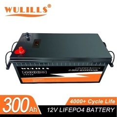 走行充電器、リン酸鉄リチウムイオンバッテリー300a.外部充電器
の画像