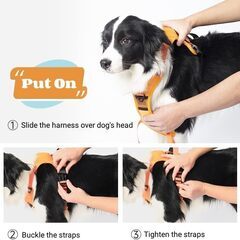 格納式犬用リーシュが1つになった犬用ハーネス、調整可能なソフトパッド入り犬用ベスト付き引っ張り防止ペットハーネス 中型犬用ハーネス、中型犬用もつれない犬用リーシュ付き。M、Lオレンジの画像