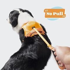 格納式犬用リーシュが1つになった犬用ハーネス、調整可能なソフトパッド入り犬用ベスト付き引っ張り防止ペットハーネス 中型犬用ハーネス、中型犬用もつれない犬用リーシュ付き。M、Lオレンジの画像