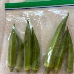 新鮮✨夏野菜セット①の画像