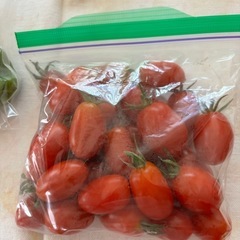 新鮮✨夏野菜セット①の画像