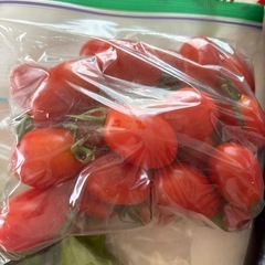 お取引決定✨夏野菜セット②の画像