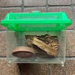 虫カゴ　小①の画像