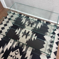 GEX 水槽 2個セット 縦20cm×横60cm×25cm
の画像