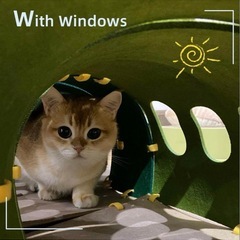 キャット　トンネルの画像