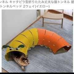 キャット　トンネルの画像