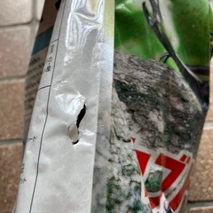 バイオ育成カブトムシ マットの画像