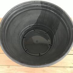 メダカ飼育円水鉢の画像