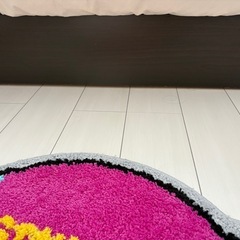 セミダブルベット枠のみ！の画像