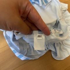 水着セットの画像