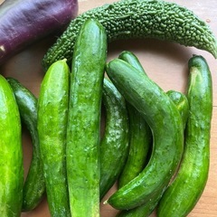 残りわずか‼️ お野菜詰め合わせ‼️①の画像