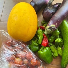 残りわずか‼️ お野菜詰め合わせ‼️①の画像