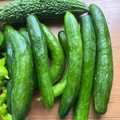 残りわずか‼️ 野菜詰め合わせ‼️ ②の画像
