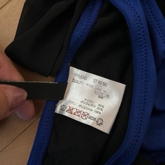 リップサービス　ビキニの画像