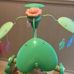 プーメリーの画像