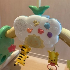 プーメリーの画像