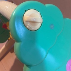 プーメリーの画像