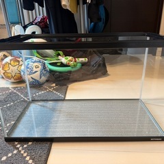 60cm規格水槽の画像