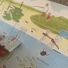 幼児向け　仕掛け図鑑の画像