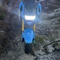 ホンダ グロム125 JC61型 カスタム車両 モリワキマフラー・LEDウインカー付きの画像