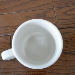 スターバックス Starbucks 北海道限定 マグカップの画像