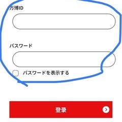 大阪万博 EXPO チケット 大人（2枚）の画像