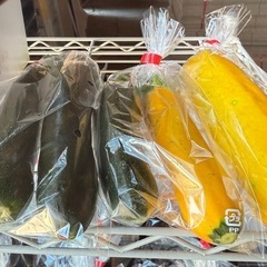 夏野菜の画像