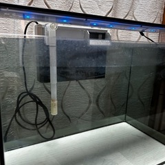 水槽セットの画像