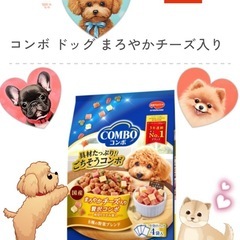 わんちゃん🐶ご飯の画像