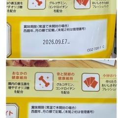 わんちゃん🐶ご飯の画像