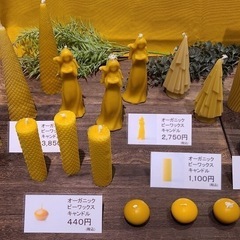 イベント販売スタッフ募集の画像