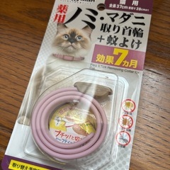 ペット　猫用 ノミ・マダニ 予防の画像