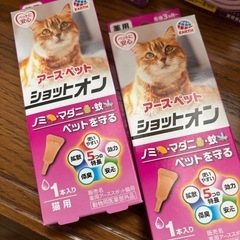 ペット　猫用 ノミ・マダニ 予防の画像